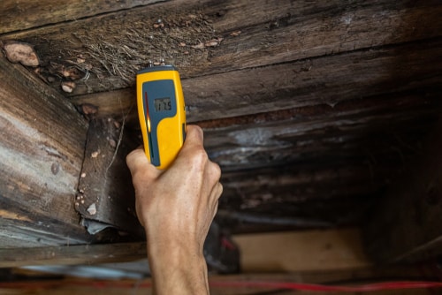 Mold measuring in joist