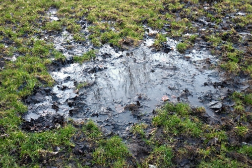Soggy ground caused by bad run-off