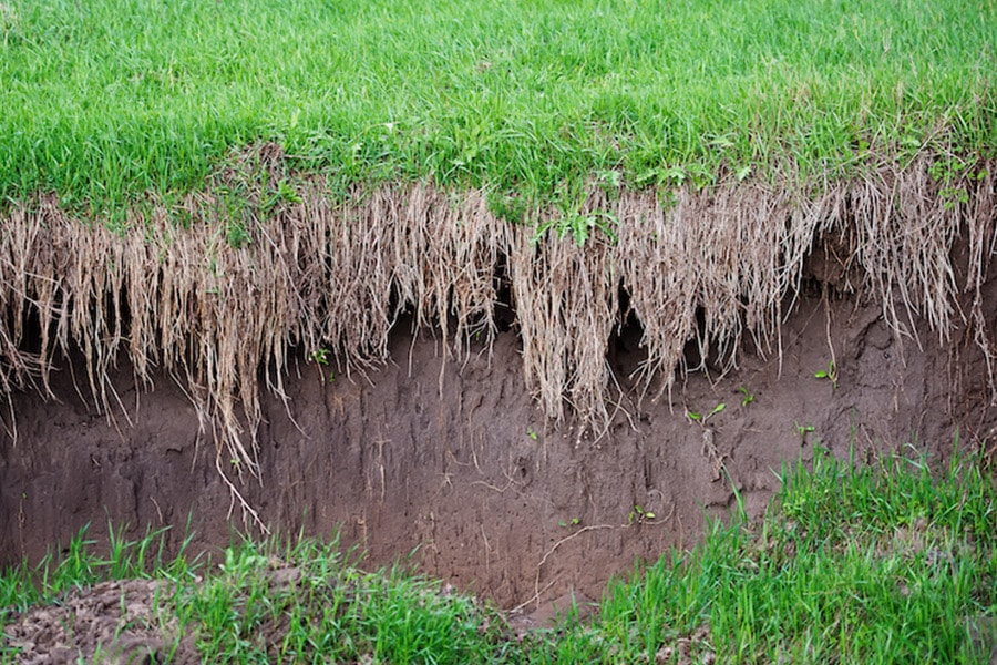 Soil Erosion