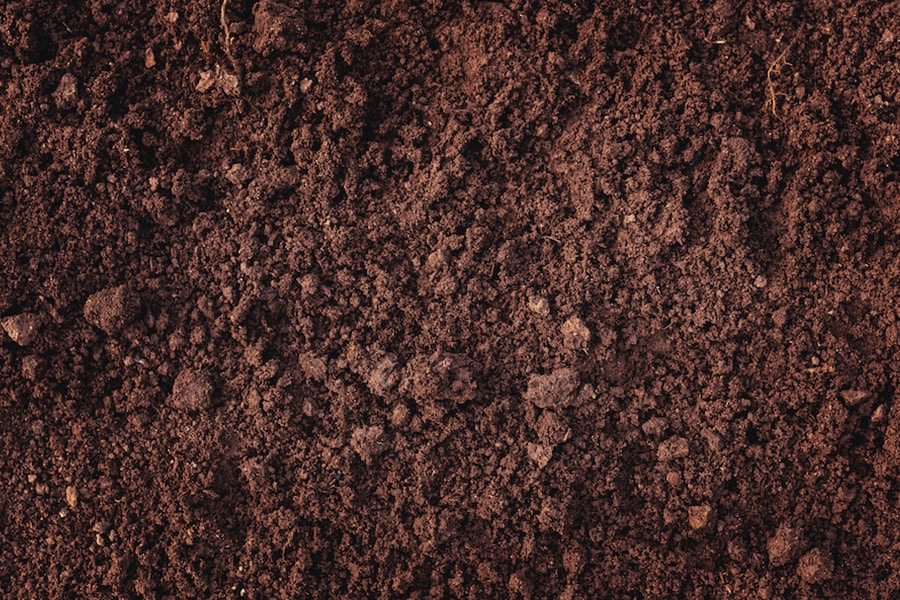 Soil type