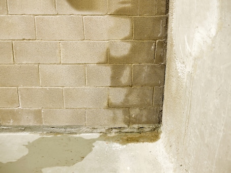 Wet concrete basement wall