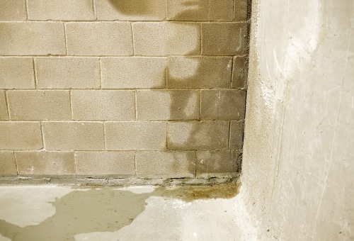 Wet concrete basement wall