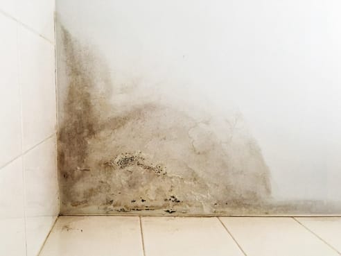 Wet moldy walls